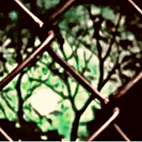 Saraunh0Ly - Wutiwant mp3 ডাউনলোড